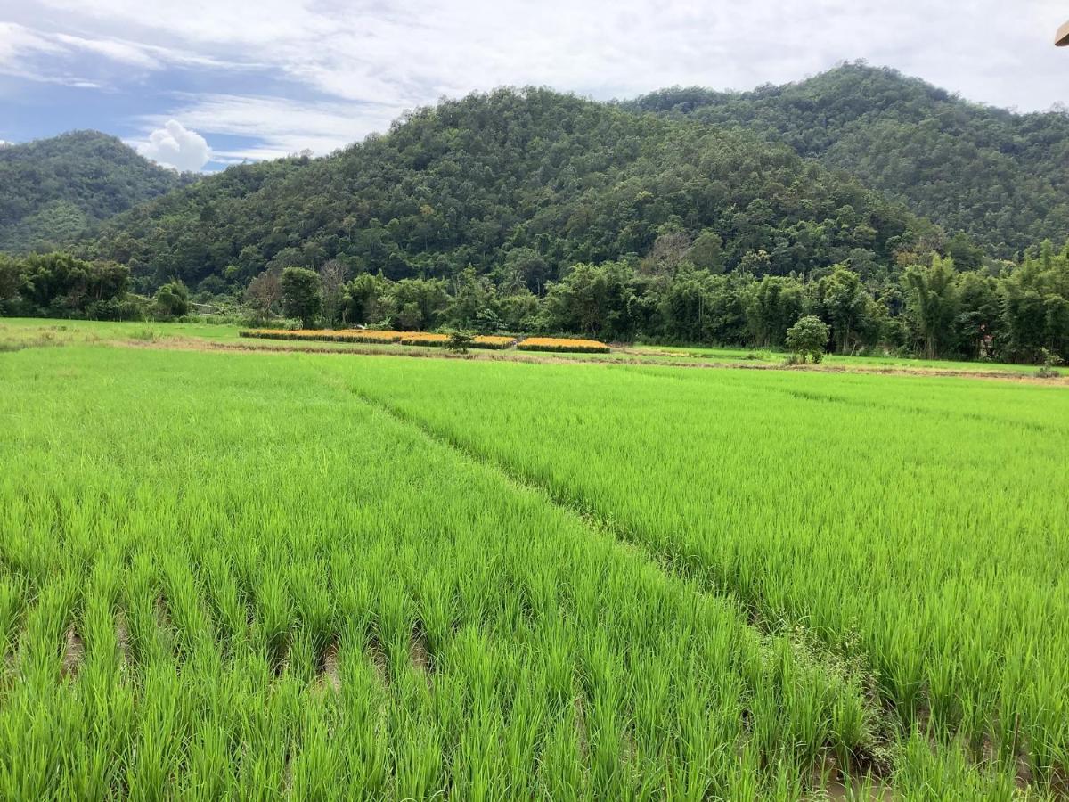 บ้านสวนวิวทุ่ง Ban Mae Sap Nua المظهر الخارجي الصورة