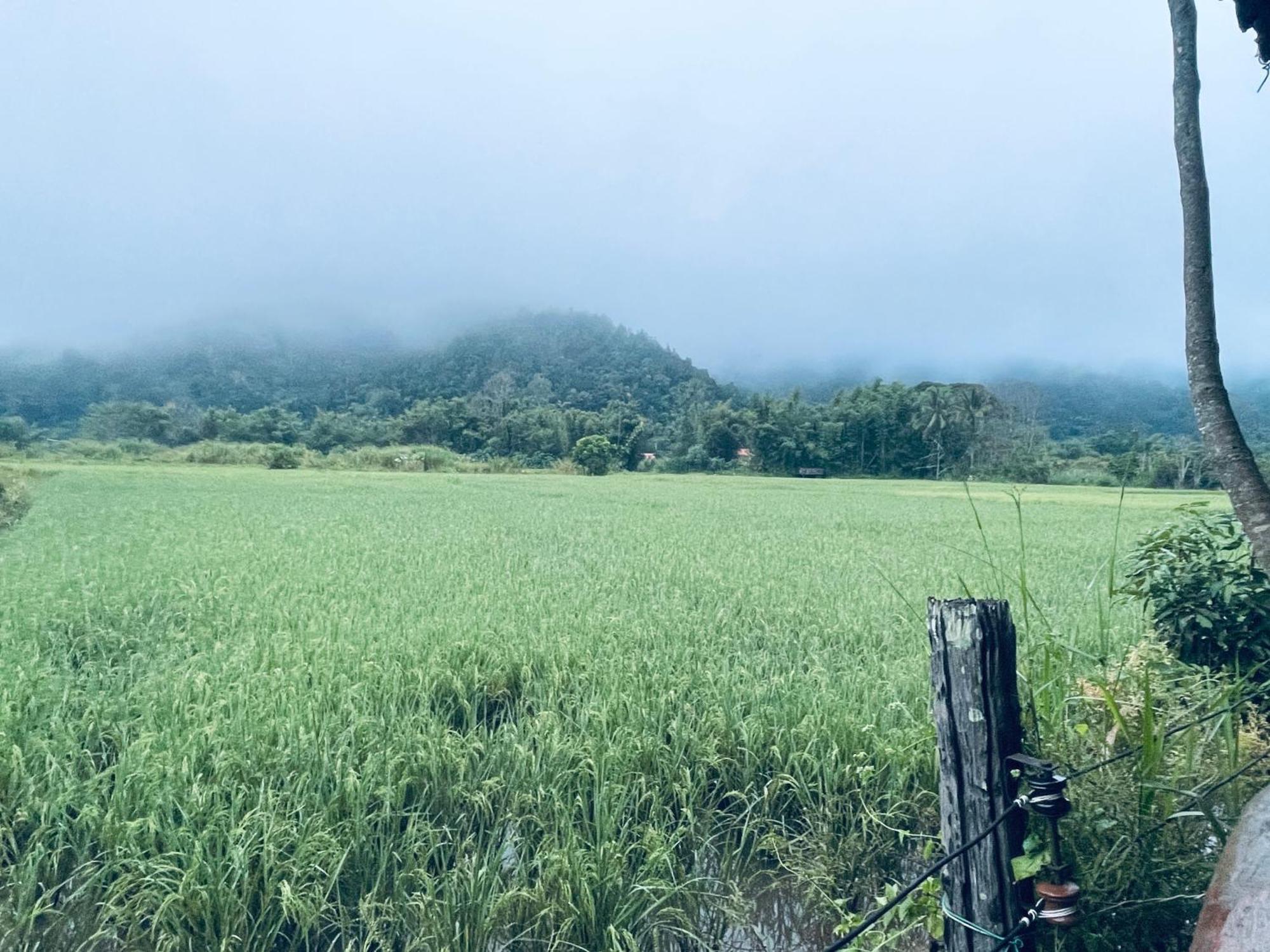 บ้านสวนวิวทุ่ง Ban Mae Sap Nua المظهر الخارجي الصورة