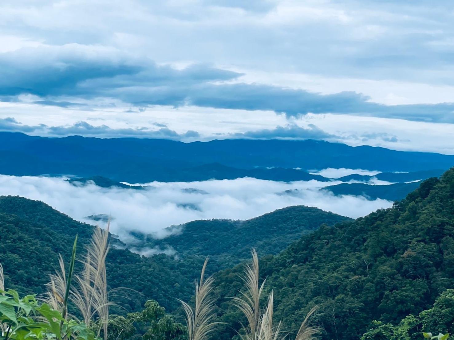 บ้านสวนวิวทุ่ง Ban Mae Sap Nua المظهر الخارجي الصورة