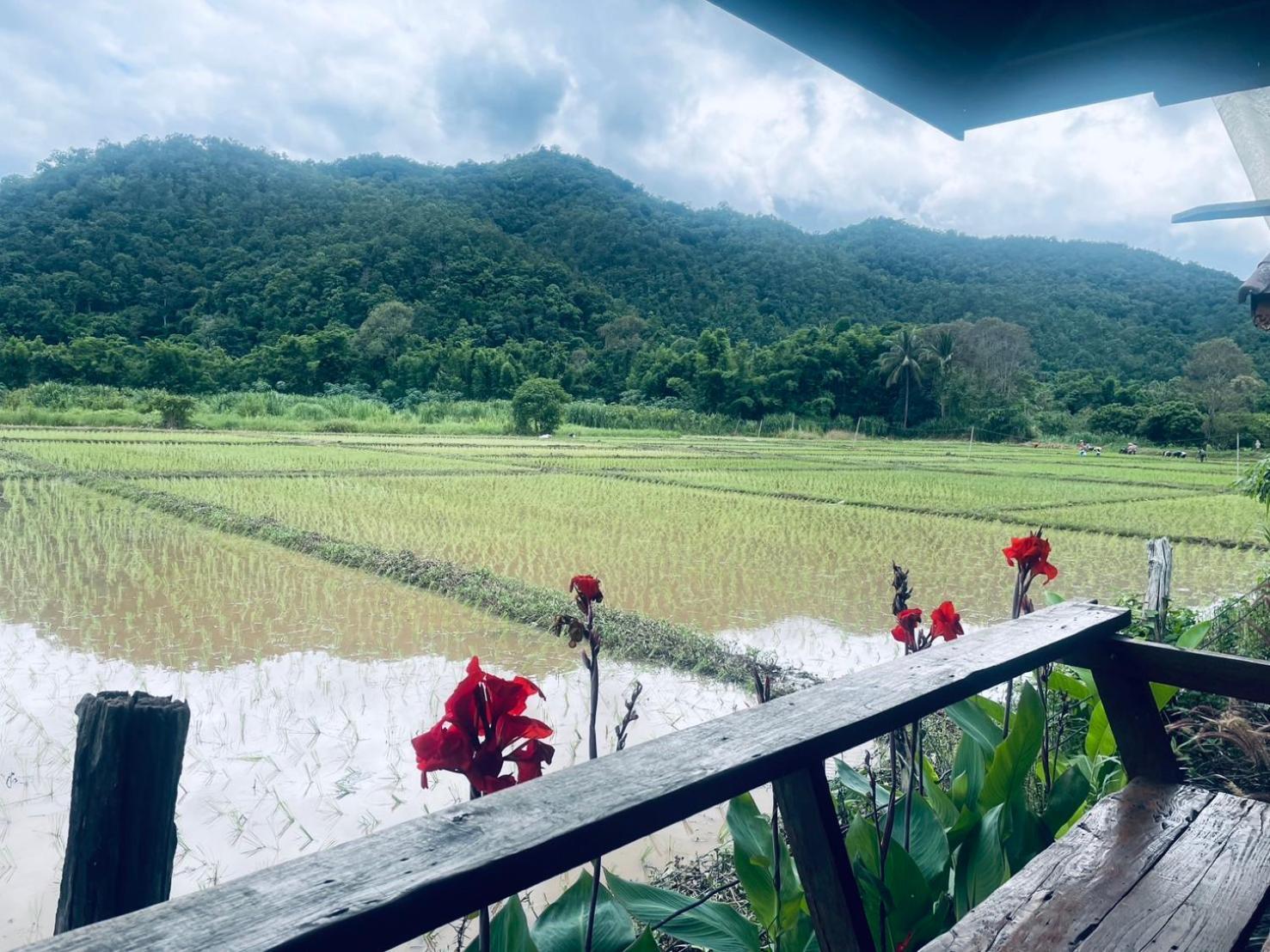 บ้านสวนวิวทุ่ง Ban Mae Sap Nua المظهر الخارجي الصورة