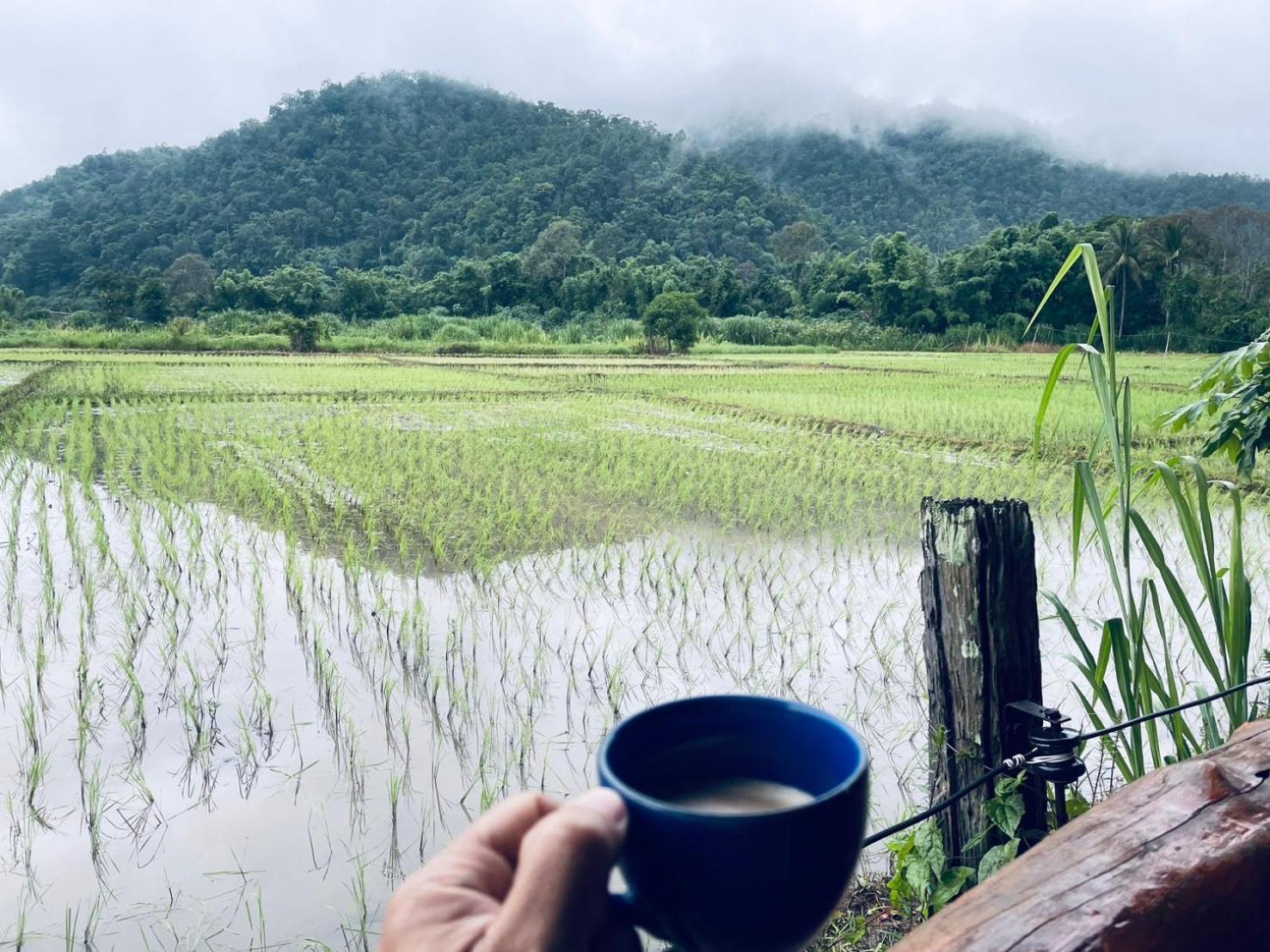 บ้านสวนวิวทุ่ง Ban Mae Sap Nua المظهر الخارجي الصورة