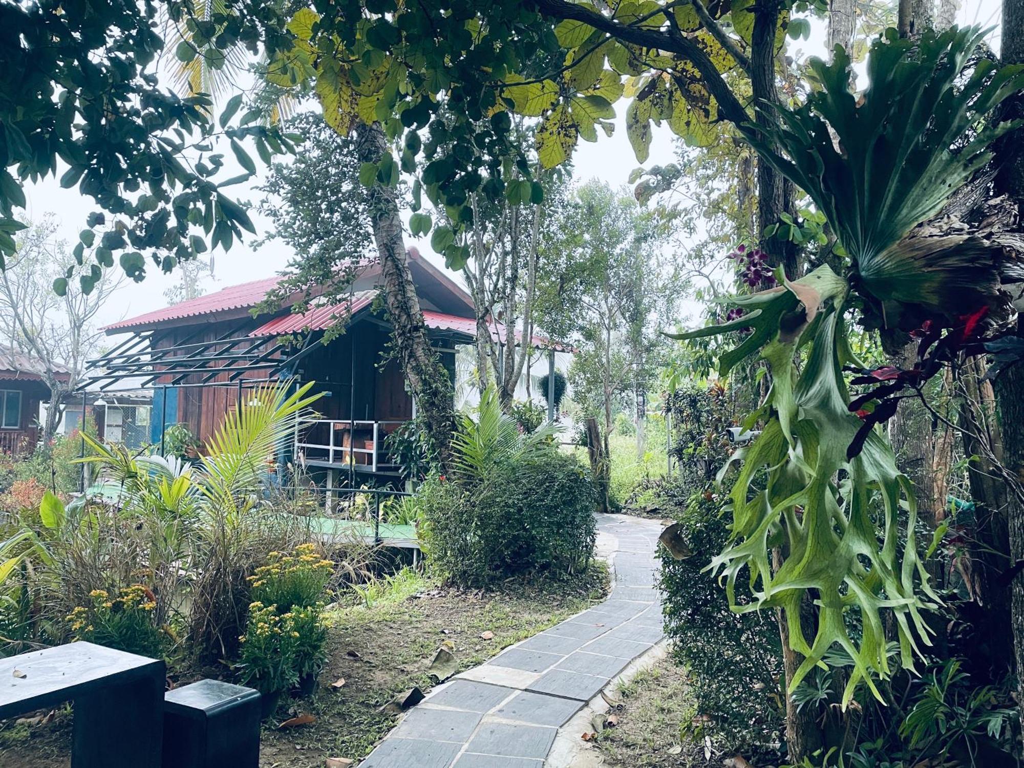 บ้านสวนวิวทุ่ง Ban Mae Sap Nua المظهر الخارجي الصورة